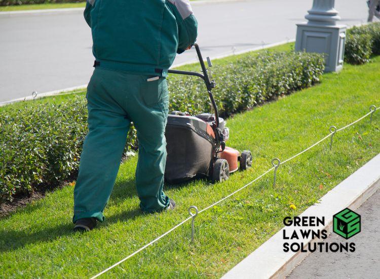Elevate Your Lawn: Green Lawns Solutions Introduces Premium Lawn Mowing Service